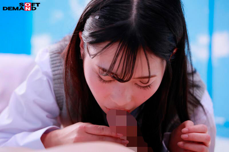 12_1sdmm00197jp-11