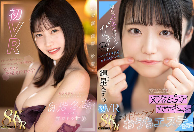 10_mdvr00446jp-9