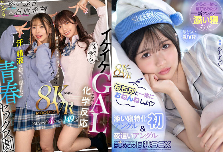 12_mdvr00446jp-11